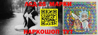 дмт Донской