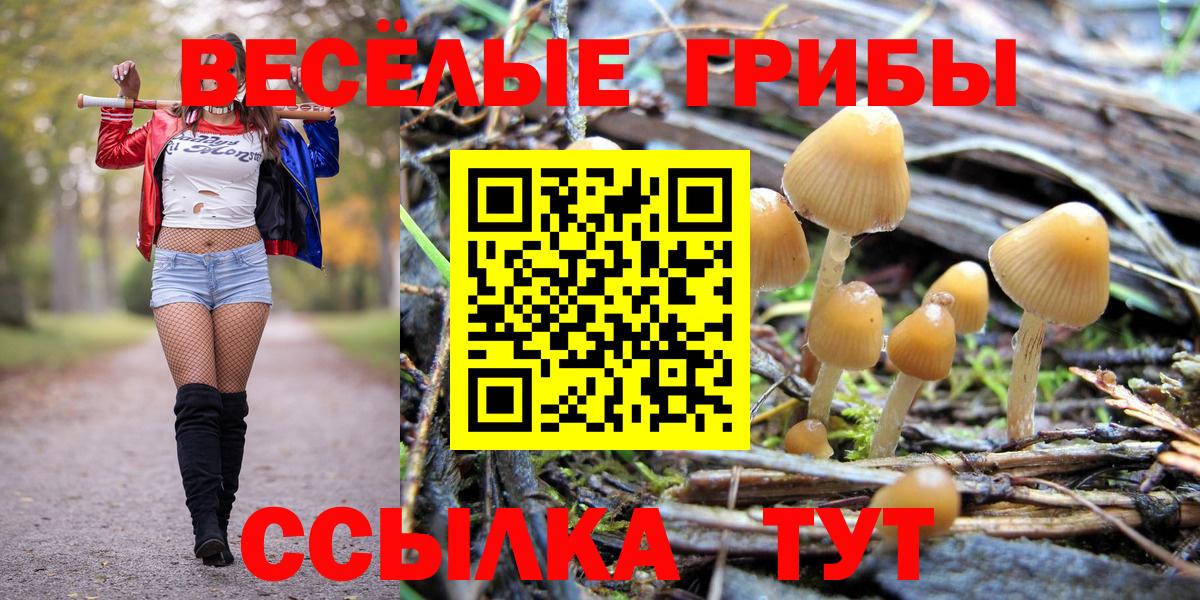 Псилоцибиновые грибы MAGIC MUSHROOMS  Вход с VPN  Галлюциногенные грибы GOLDEN TEACHER  Новоалександровск 